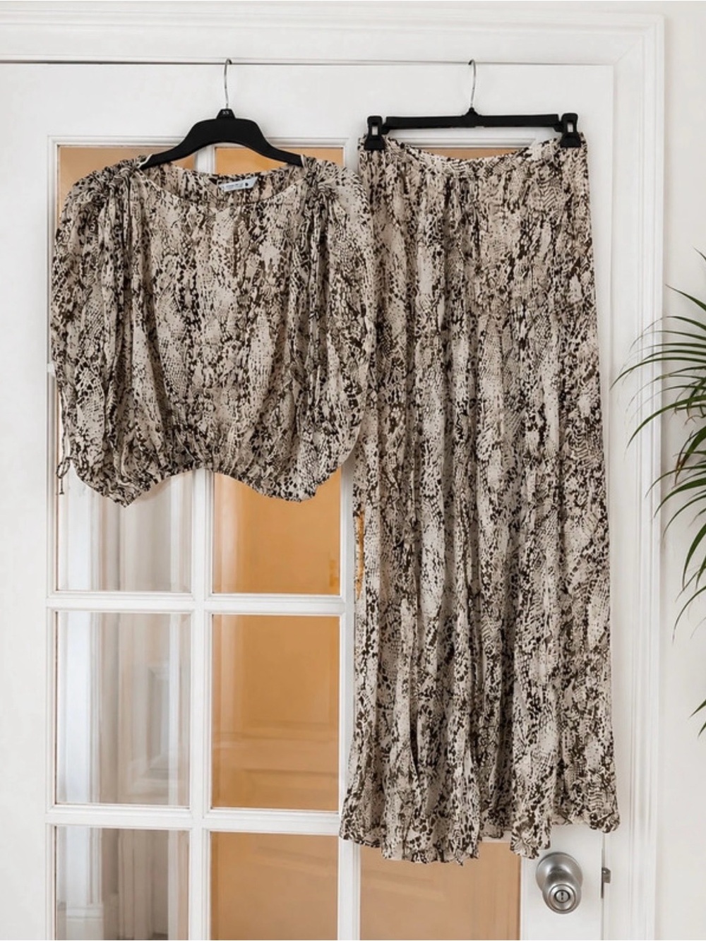 Zara Beige & Brown Snake-Print Wide Leg Pants